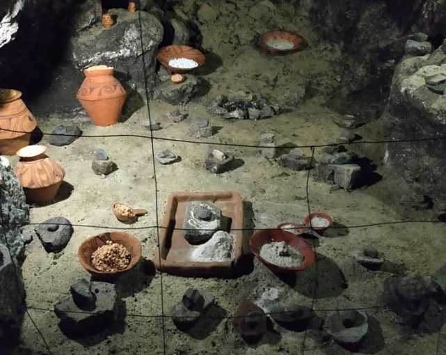  Експозиція артефактів у ``Вертебі``